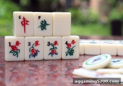 沙巴体育官网网深度指南：SG飞艇牛牛玩法与策略全解析